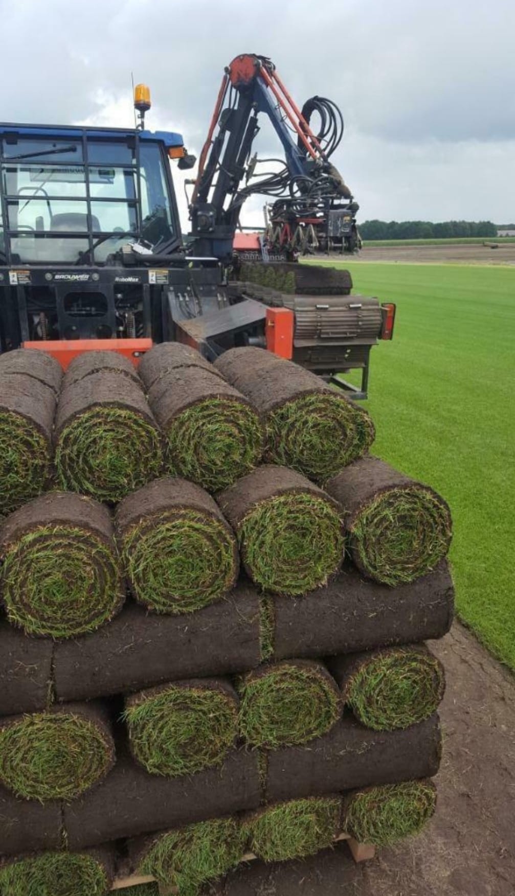 Close-up van een automatische graszodensnijder die verse rollen gras oogst en opstapelt op een pallet.