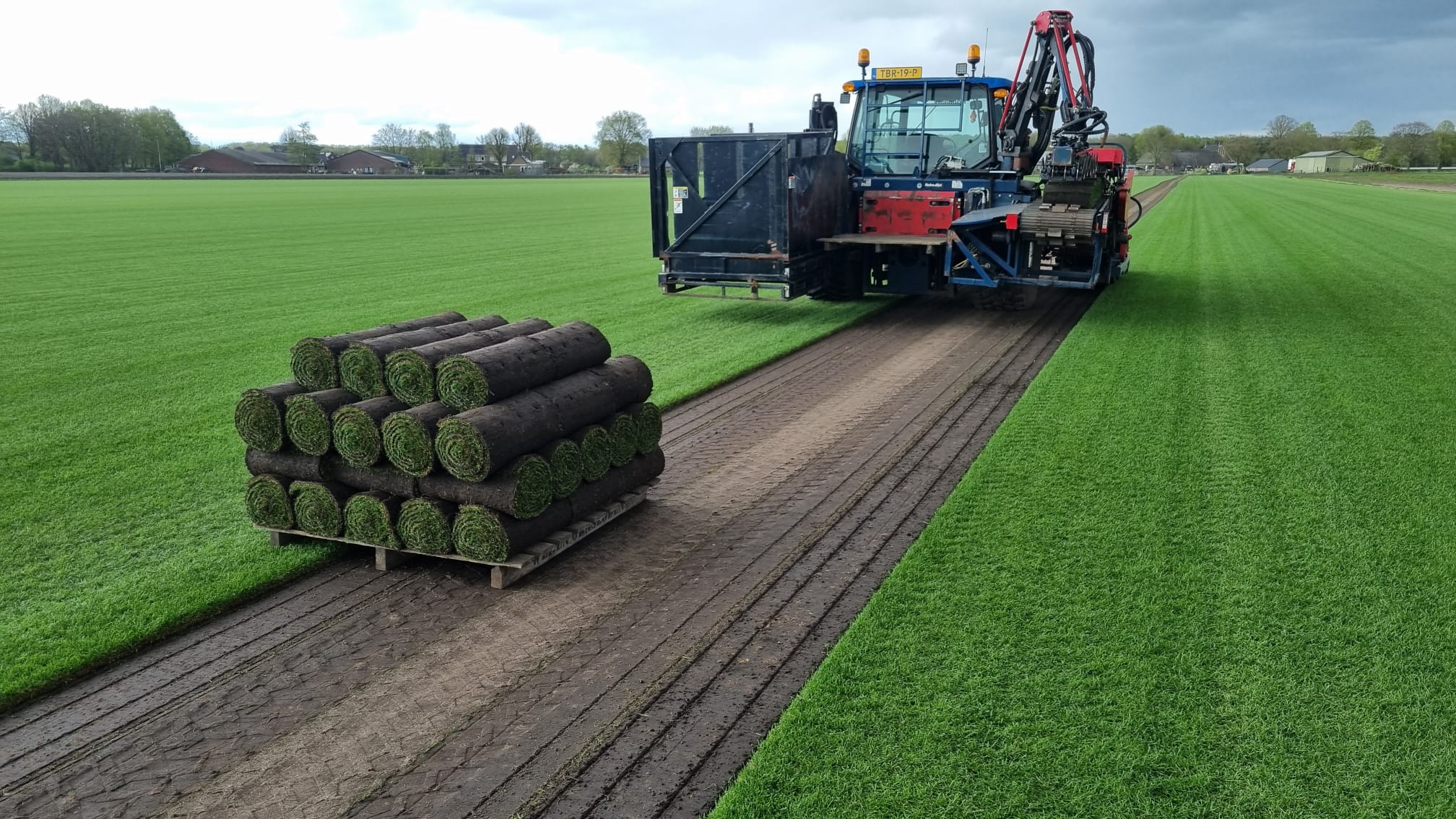 Een automatische graszodensnijder in actie op een groot veld, met op de voorgrond een vers geoogste pallet rollen gras.
